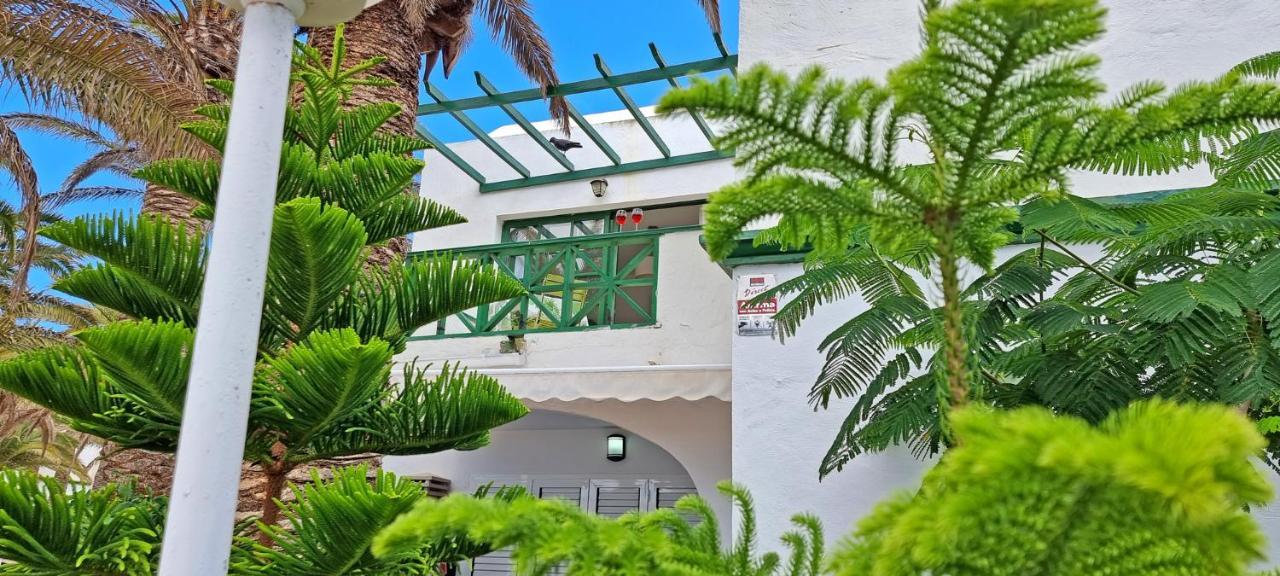 Ferienwohnung Palm Garden - Costa Calma - Pool - Glasfaserinternet Exterior photo